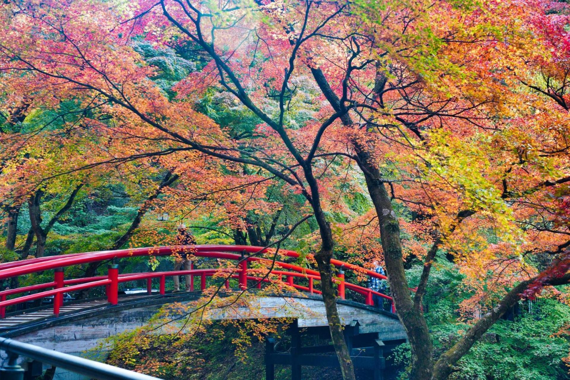 Chigira Jinsentei Hotel Shibukawa ภายนอก รูปภาพ